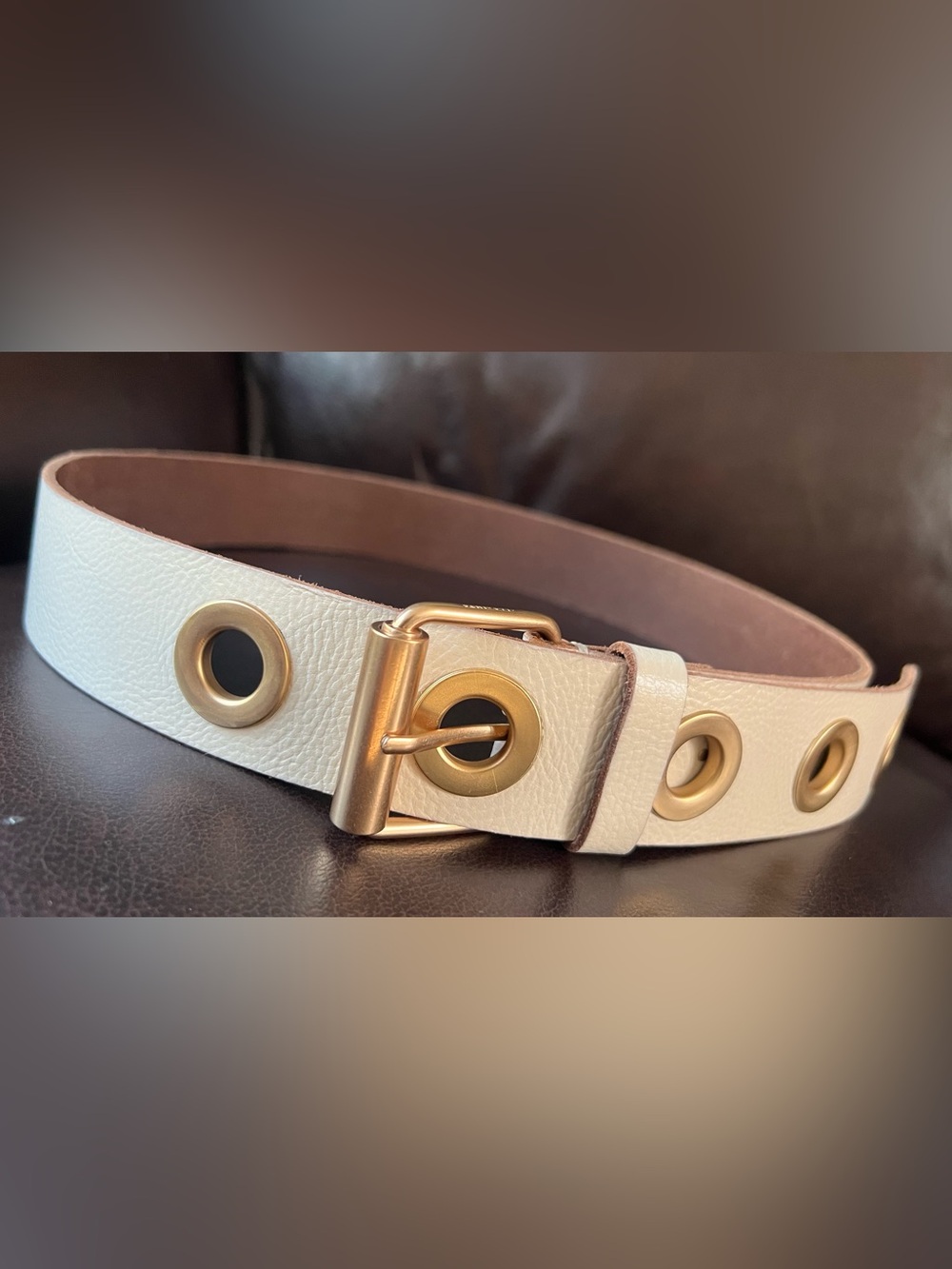AllSaints Womens Grommet Eyelet Leather Belt L Roe Off White Brass 1.5” NWOT